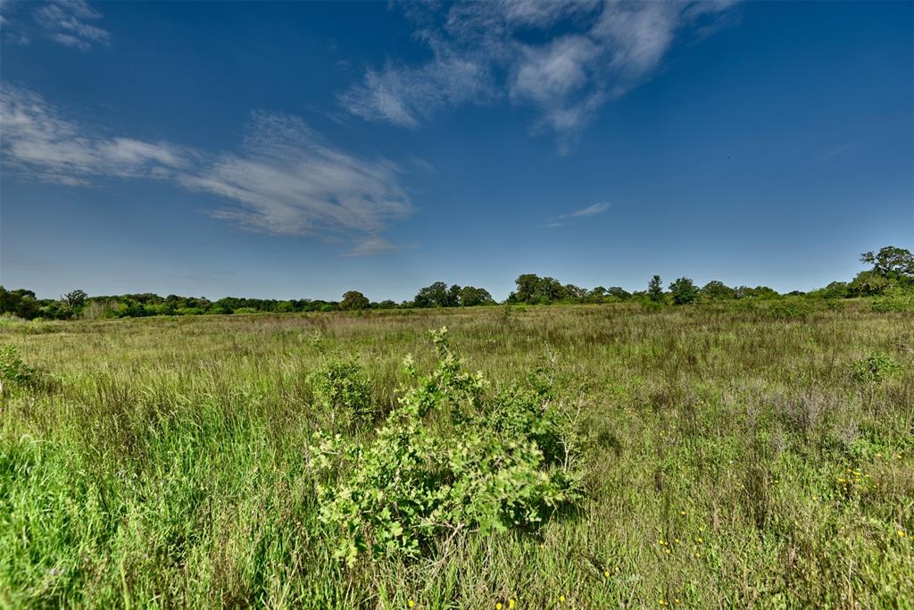 7237 County Rd 170, Track B, Caldwell, Texas image 14