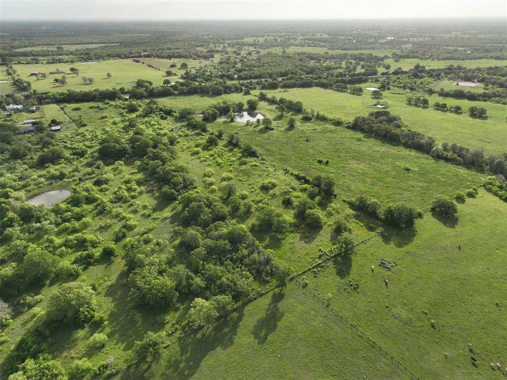 7237 County Rd 170, Track B, Caldwell, Texas image 4