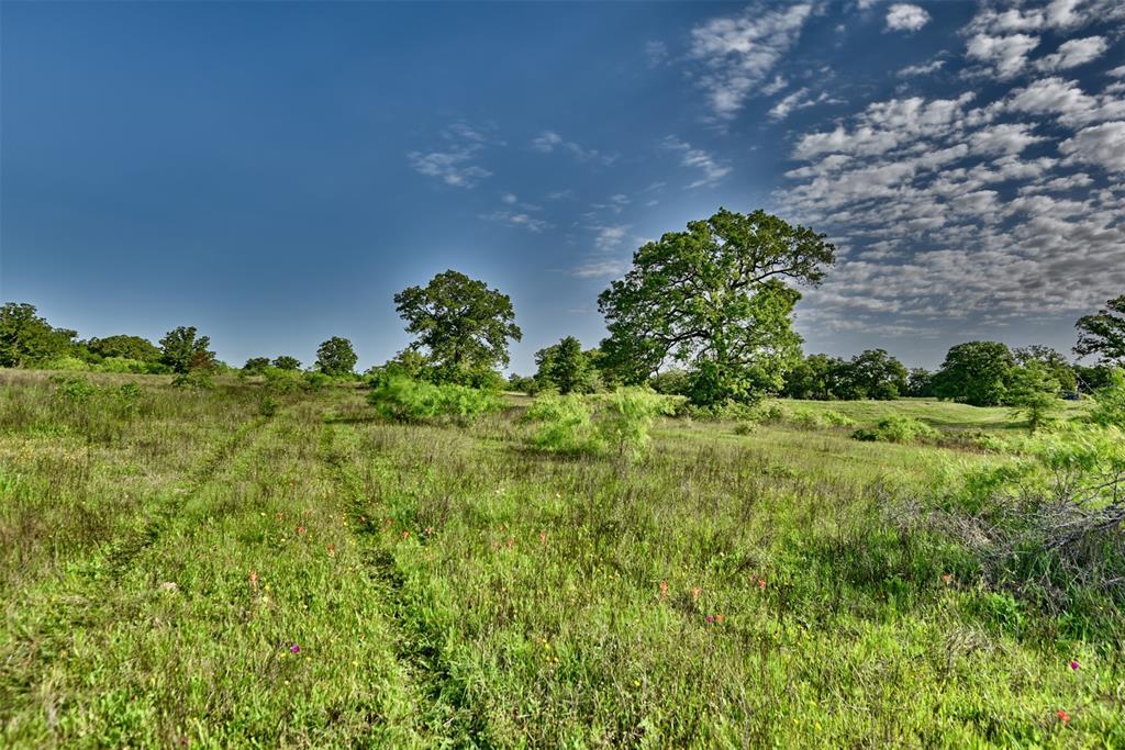 7237 County Rd 170, Track B, Caldwell, Texas image 12