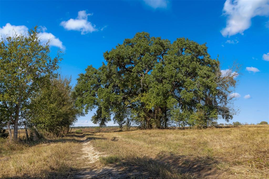 000 Fm 609, La Grange, Texas image 1