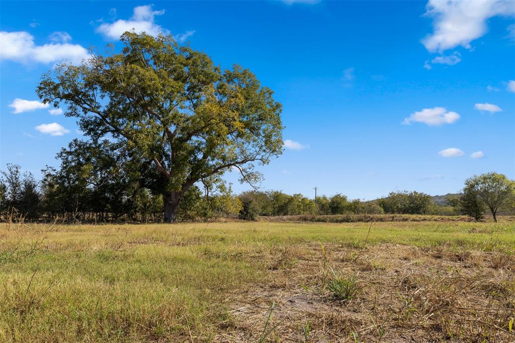 000 Fm 609, La Grange, Texas image 2