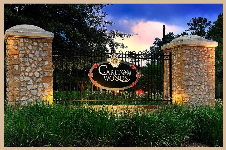 10 Grand Regency Circle, The Woodlands, Texas image 1