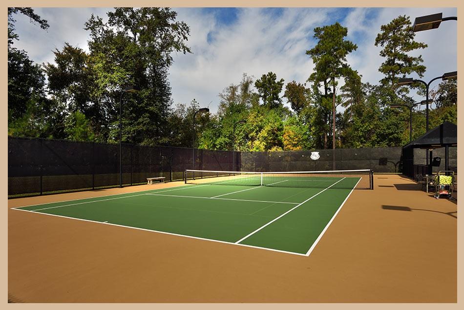 10 Grand Regency Circle, The Woodlands, Texas image 12
