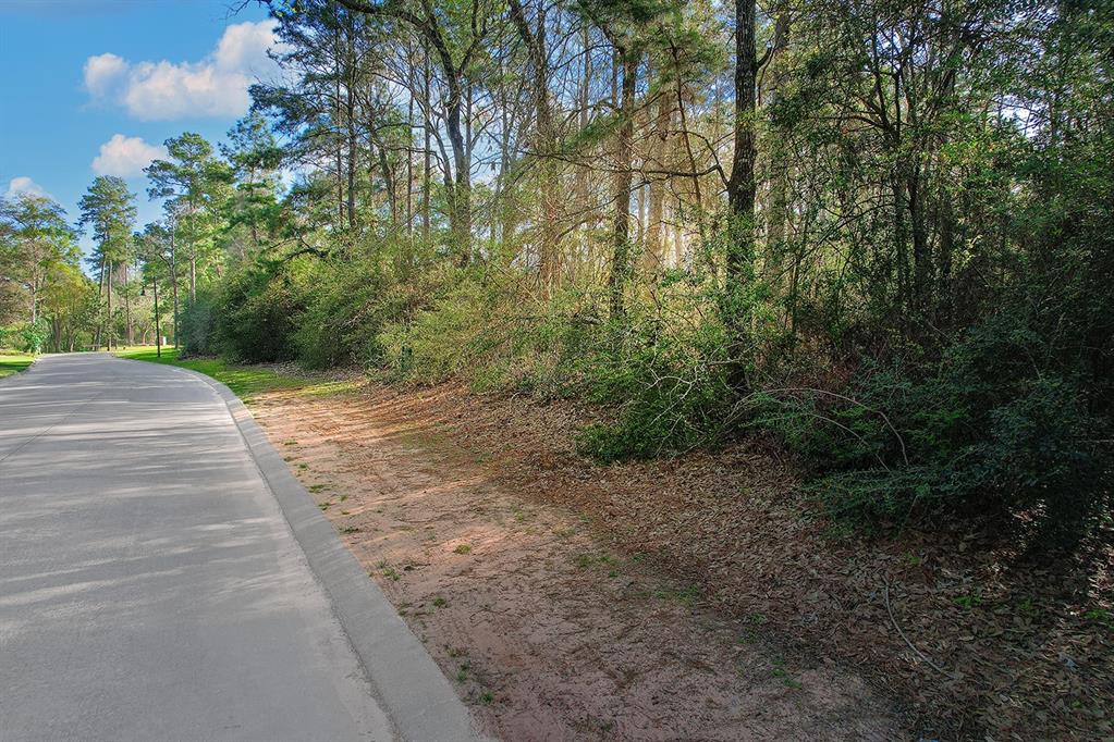 10 Grand Regency Circle, The Woodlands, Texas image 3