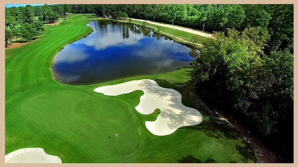 10 Grand Regency Circle, The Woodlands, Texas image 13