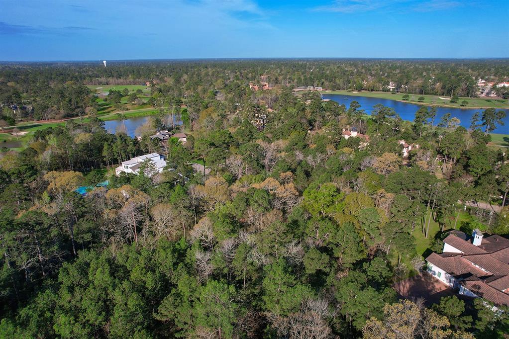 10 Grand Regency Circle, The Woodlands, Texas image 8