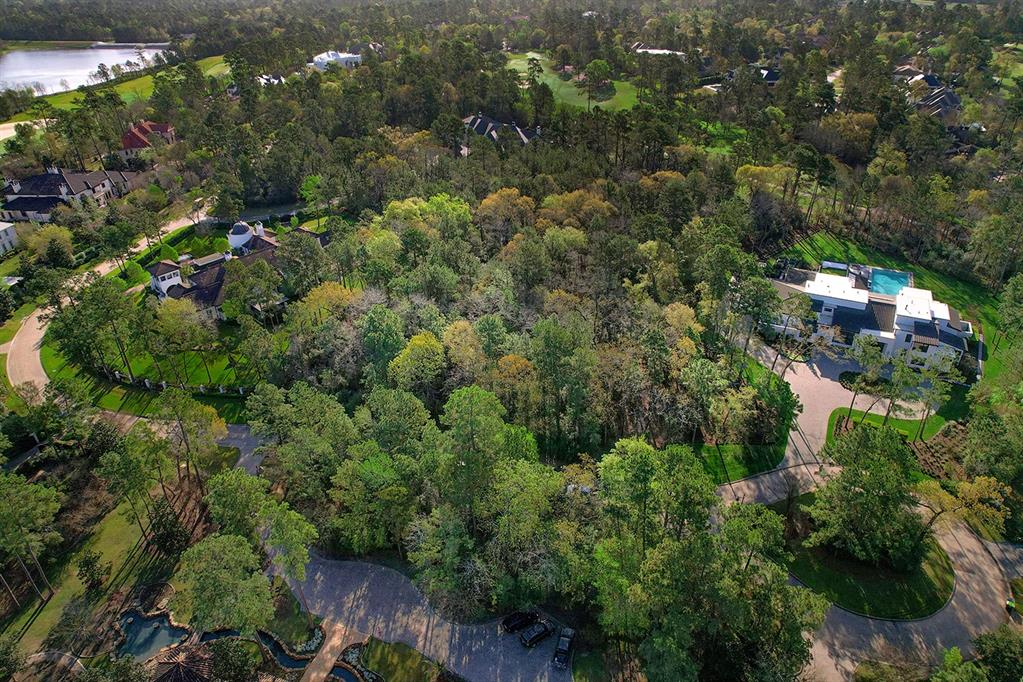 10 Grand Regency Circle, The Woodlands, Texas image 5