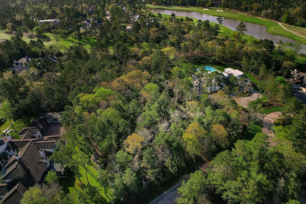 10 Grand Regency Circle, The Woodlands, Texas image 4