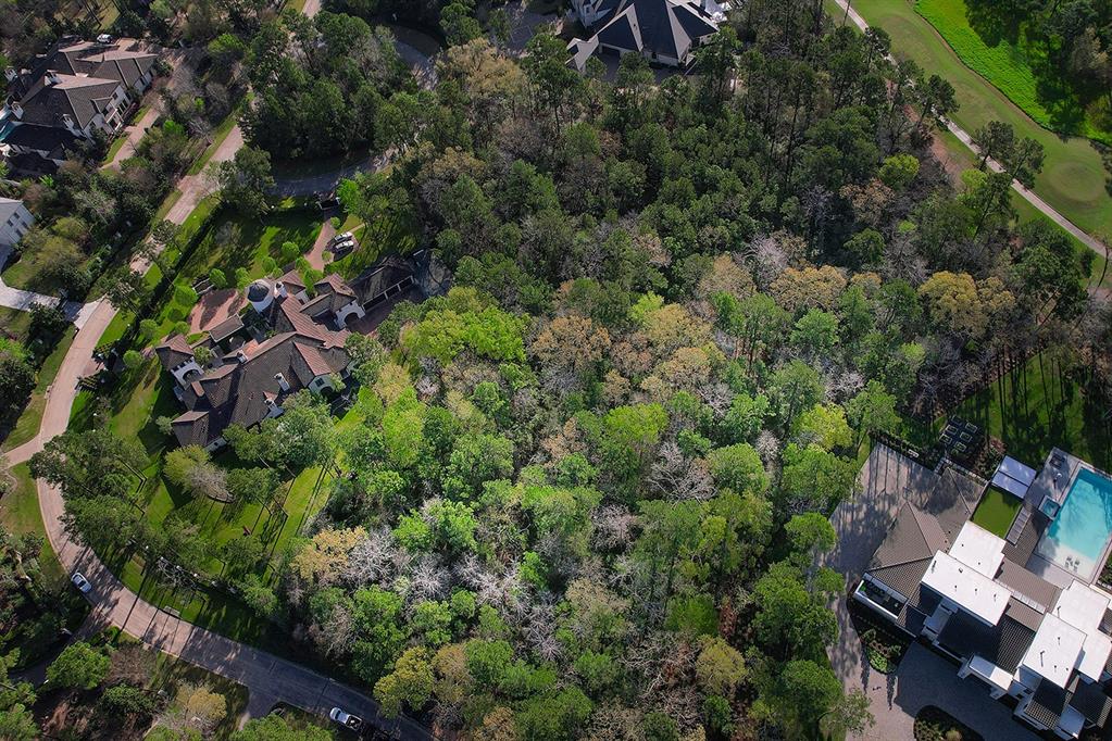 10 Grand Regency Circle, The Woodlands, Texas image 2