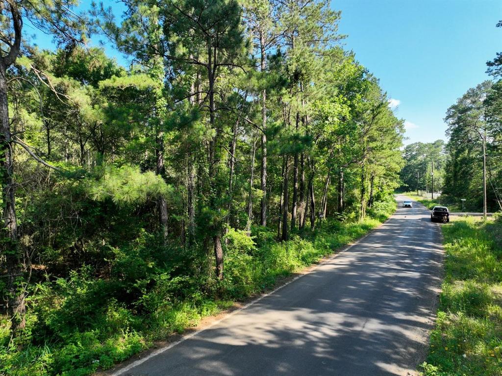 00 Pinebrook Drive, Plantersville, Texas image 3