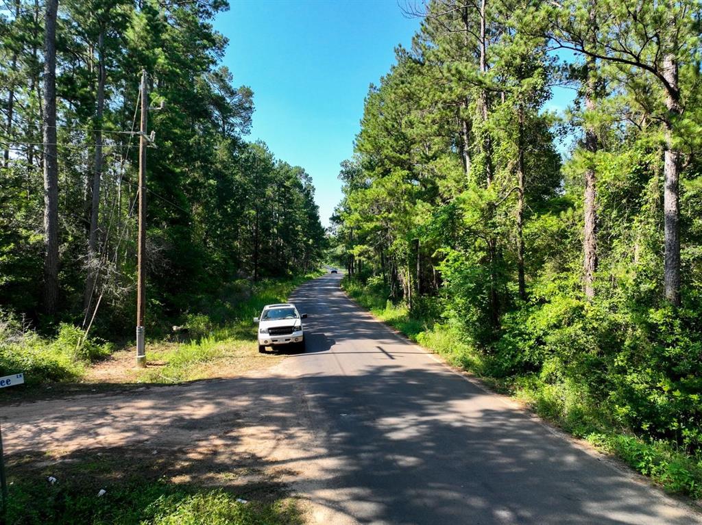 00 Pinebrook Drive, Plantersville, Texas image 2