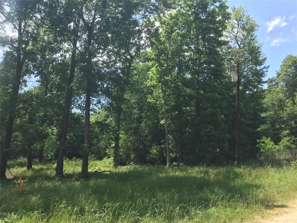 TBD Arrowhead Trail, Livingston, Texas image 10
