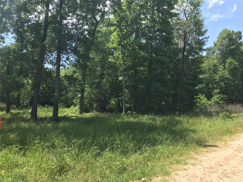 TBD Arrowhead Trail, Livingston, Texas image 3