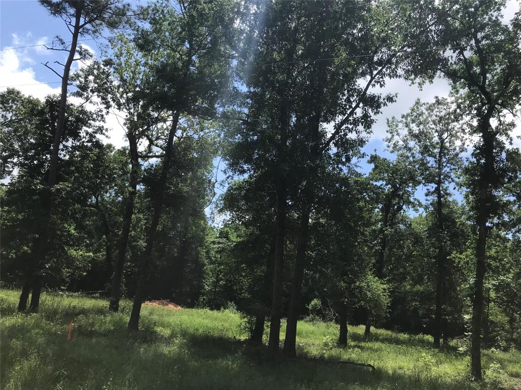 TBD Arrowhead Trail, Livingston, Texas image 5