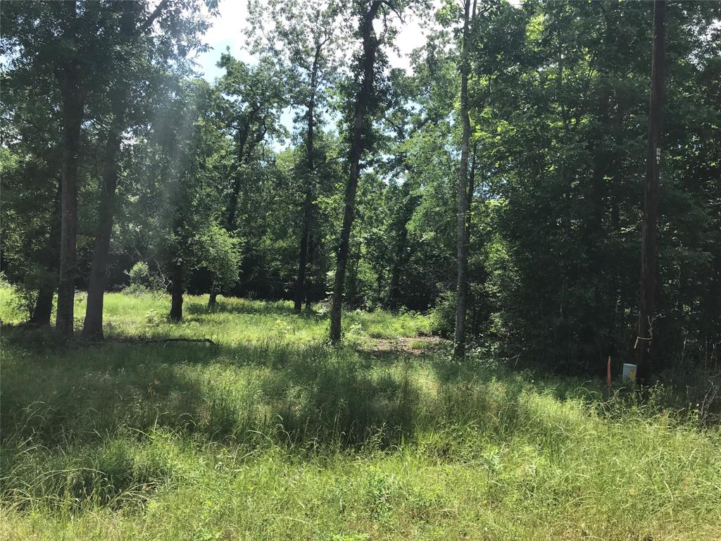 TBD Arrowhead Trail, Livingston, Texas image 7