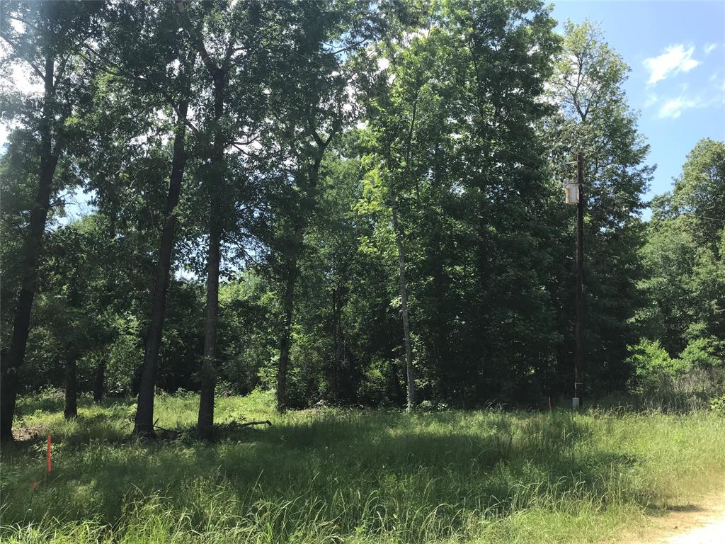 TBD Arrowhead Trail, Livingston, Texas image 2