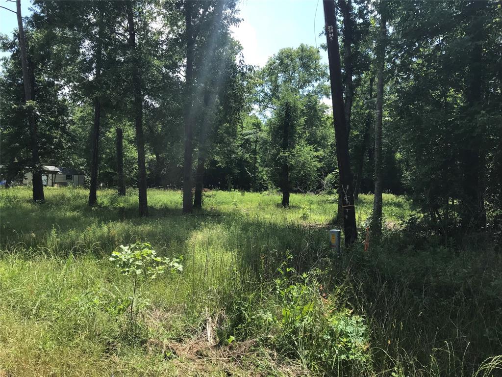 TBD Arrowhead Trail, Livingston, Texas image 9