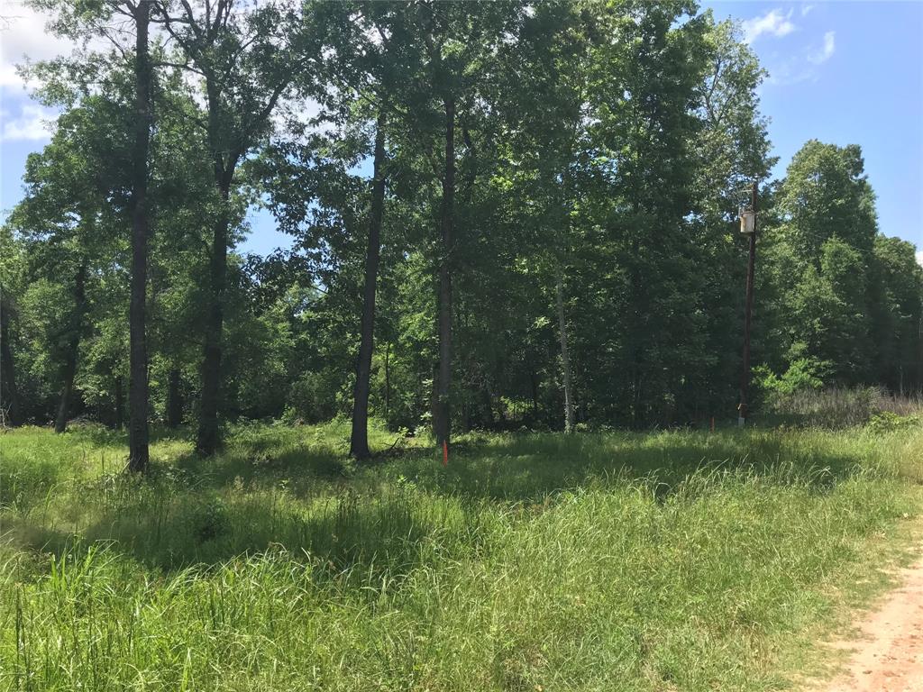 TBD Arrowhead Trail, Livingston, Texas image 1