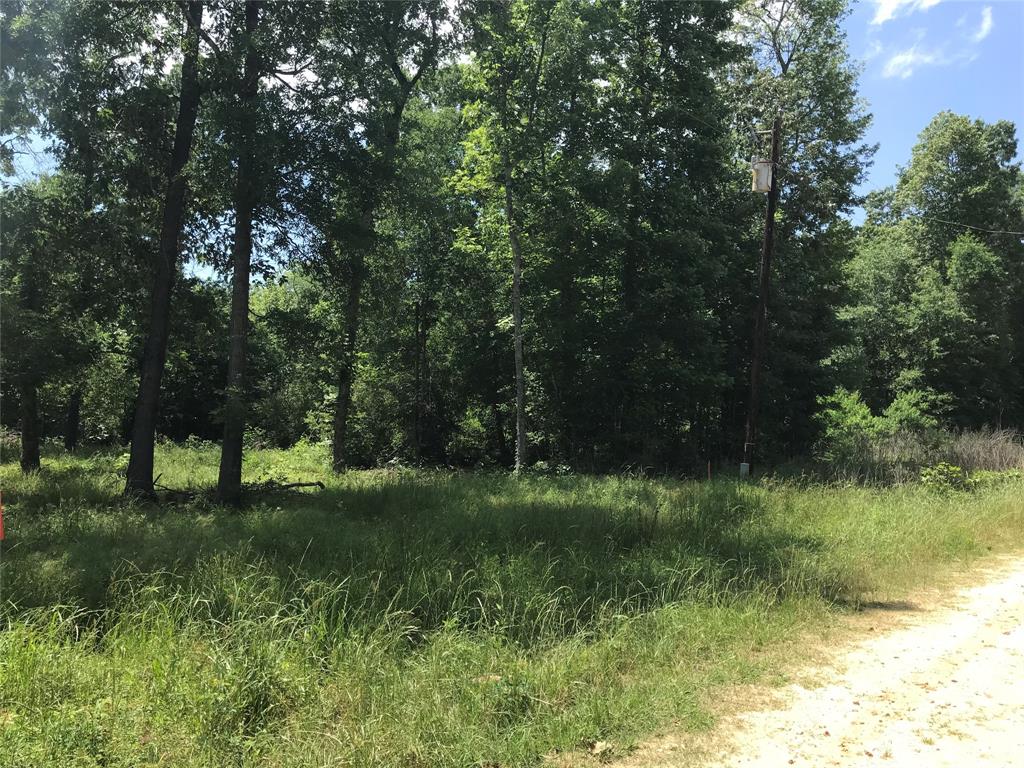 TBD Arrowhead Trail, Livingston, Texas image 4