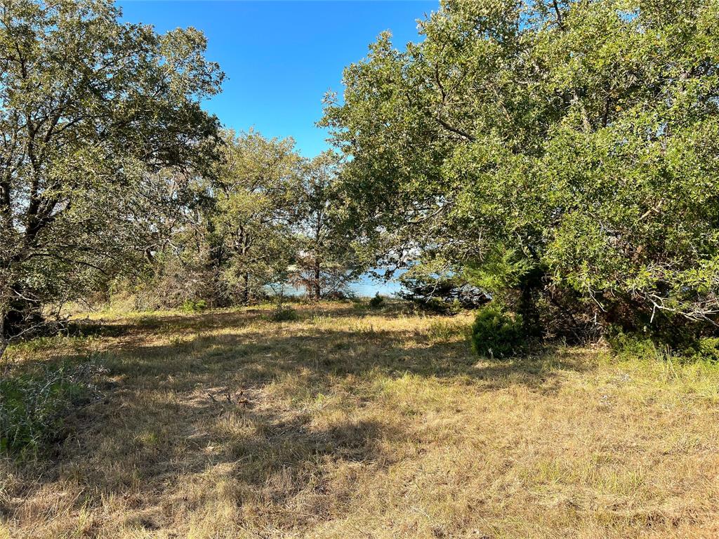 TBD-C Lcr 882, Jewett, Texas image 3