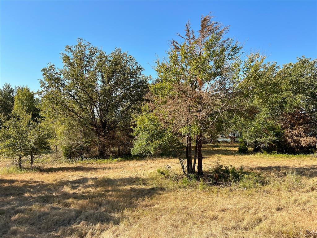 TBD-C Lcr 882, Jewett, Texas image 5