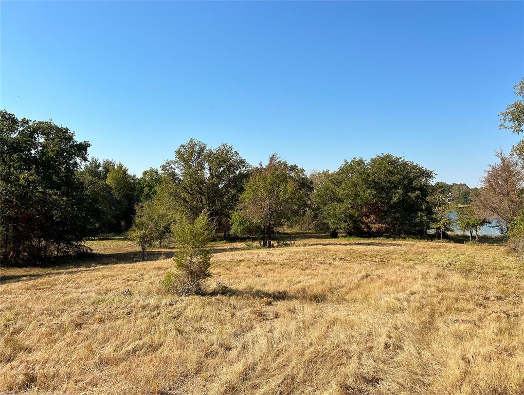 TBD-C Lcr 882, Jewett, Texas image 8