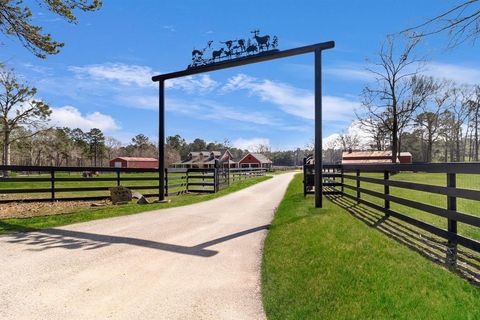 592 Buffalo Subdivision Livingston TX 77351