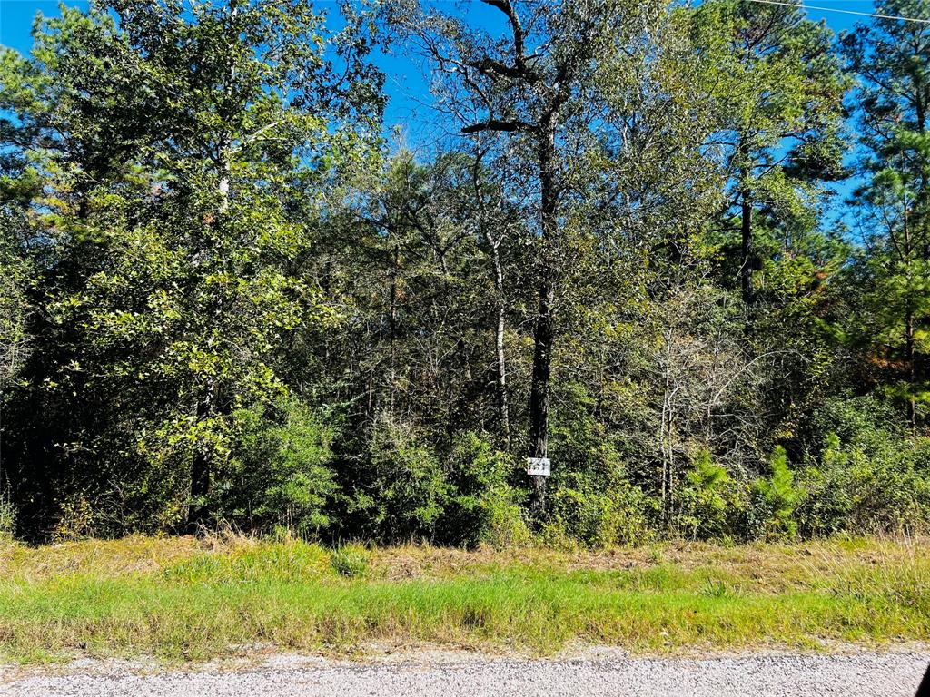 TBA Stagecoach Circle, Huntsville, Texas image 3