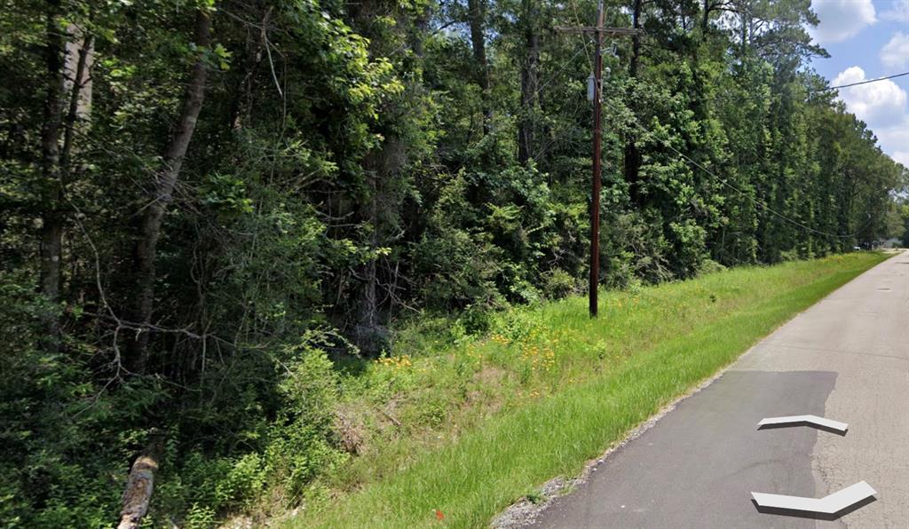 Brook Forest Rd, New Caney, Texas image 3