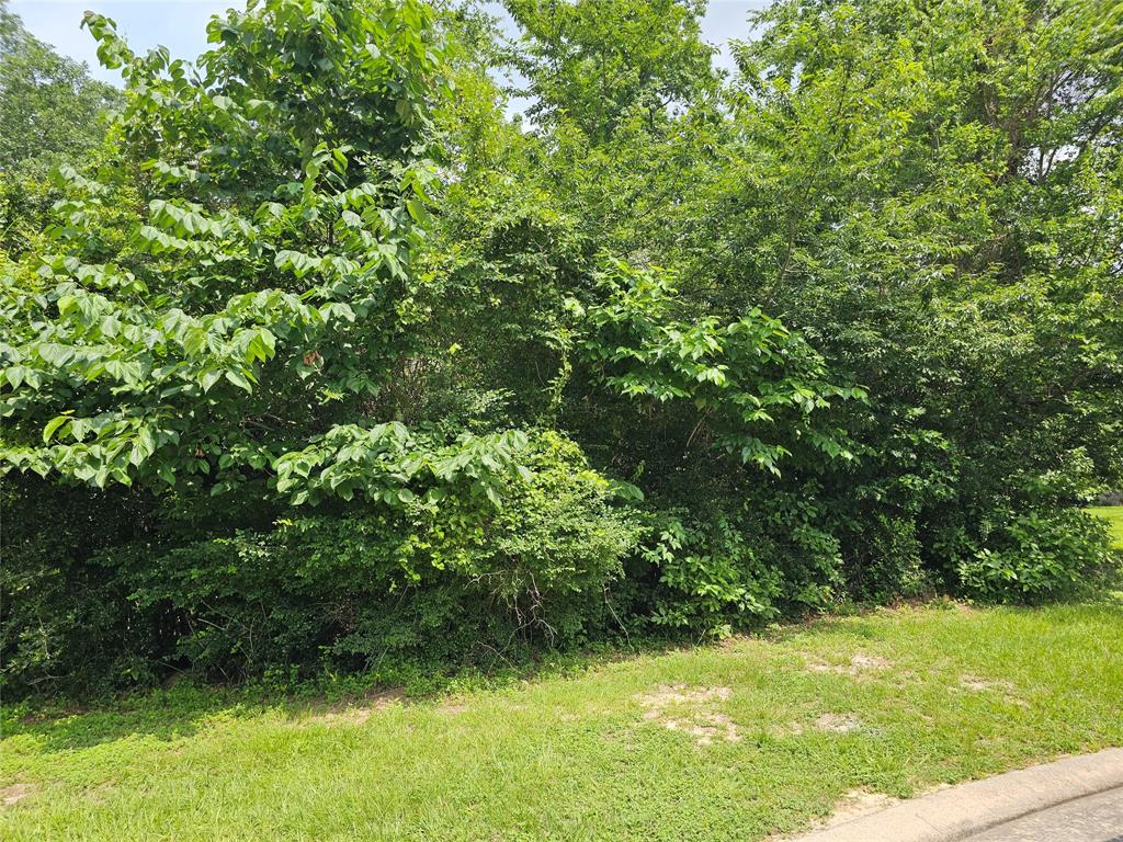 3&4 Broadmoor Court, Conroe, Texas image 3