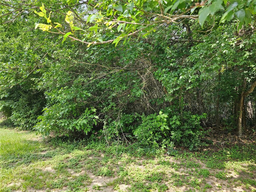 3&4 Broadmoor Court, Conroe, Texas image 1