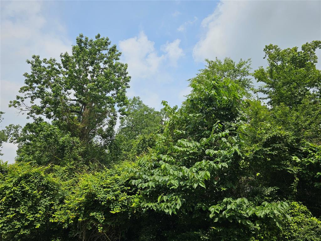 3&4 Broadmoor Court, Conroe, Texas image 4