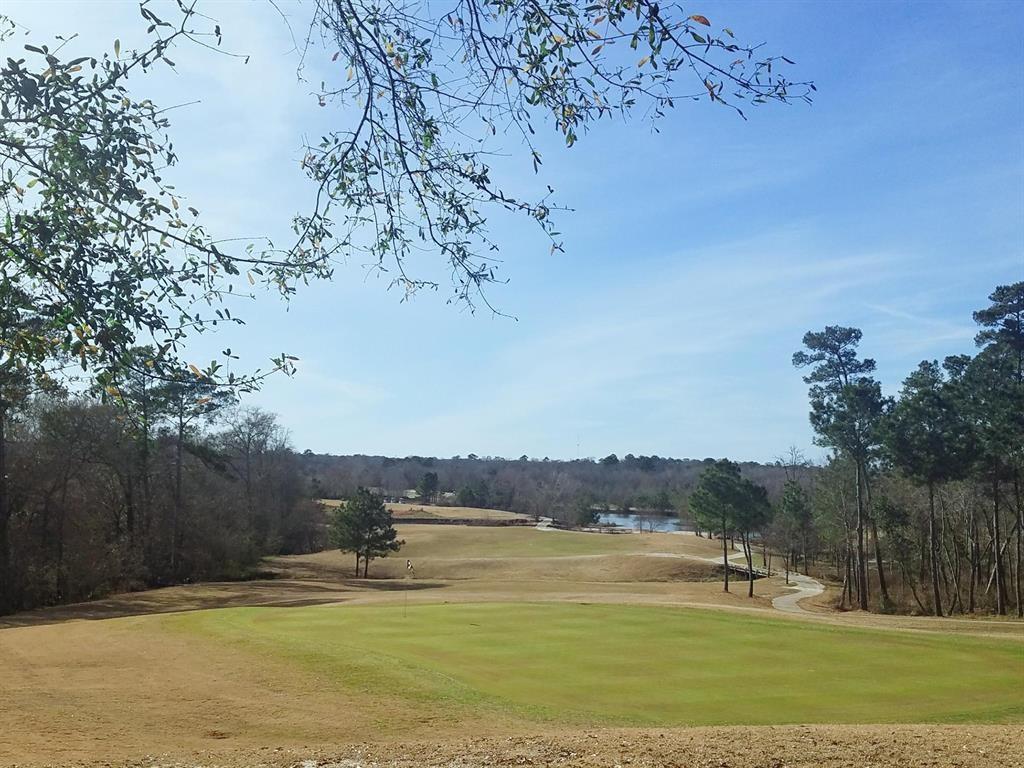 3&4 Broadmoor Court, Conroe, Texas image 8