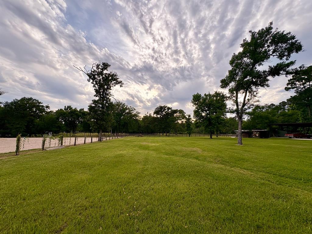 163 Hadley Creek Bend Bnd, Huntsville, Texas image 33