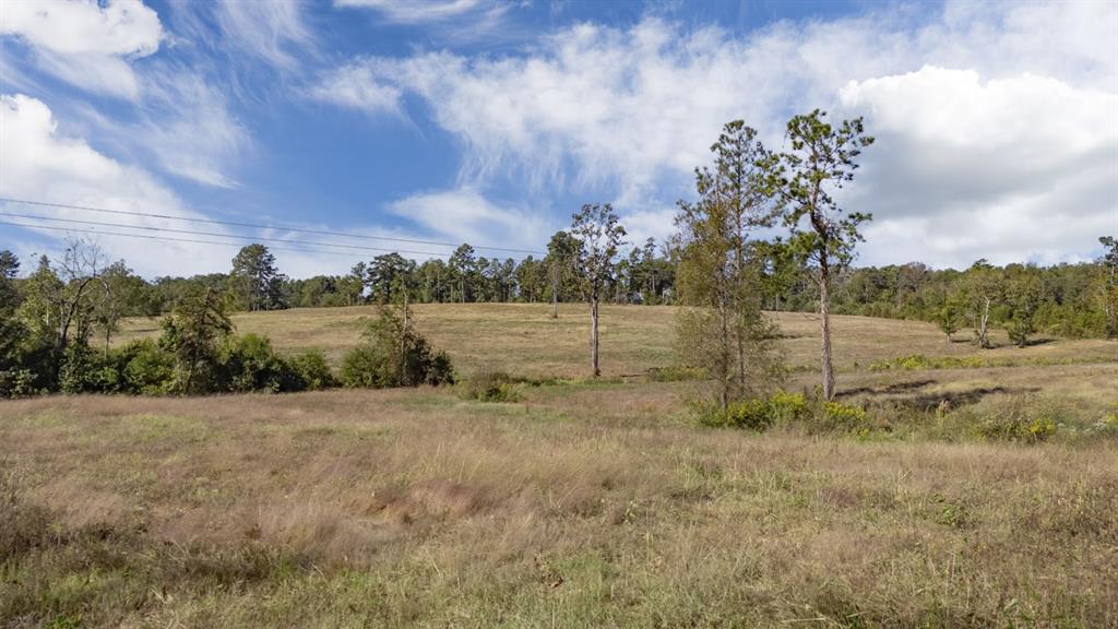 516 County Road 821, Nacogdoches, Texas image 9