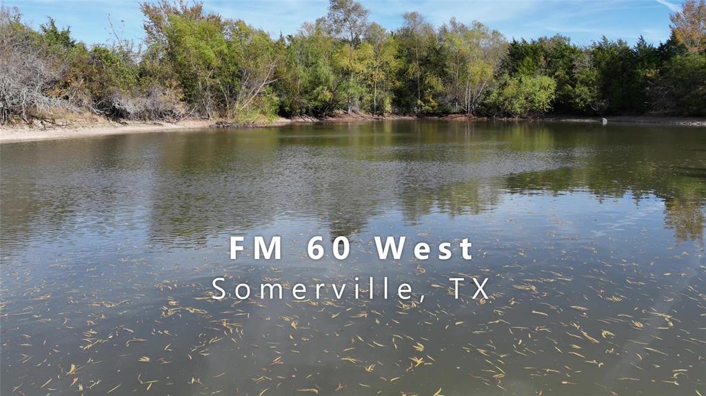 TBD Fm-60, Somerville, Texas image 1