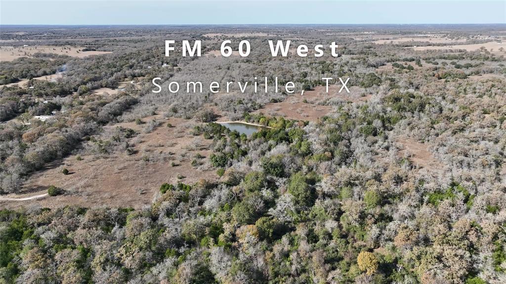 TBD Fm-60, Somerville, Texas image 20