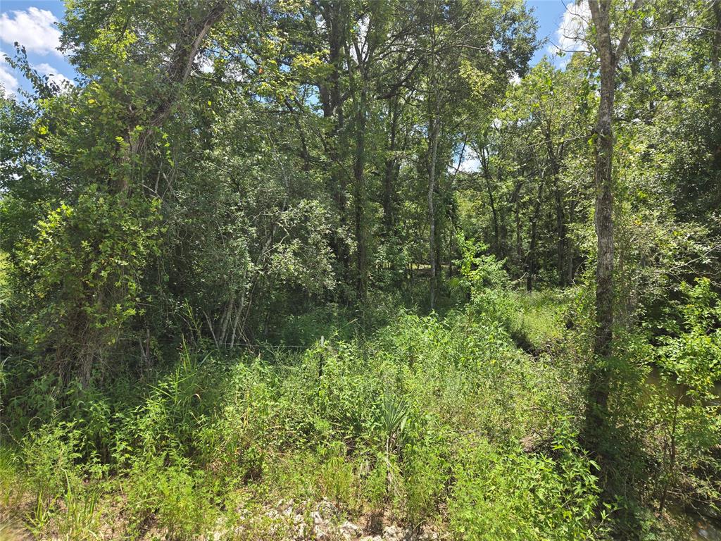 000 Spring Branch RD