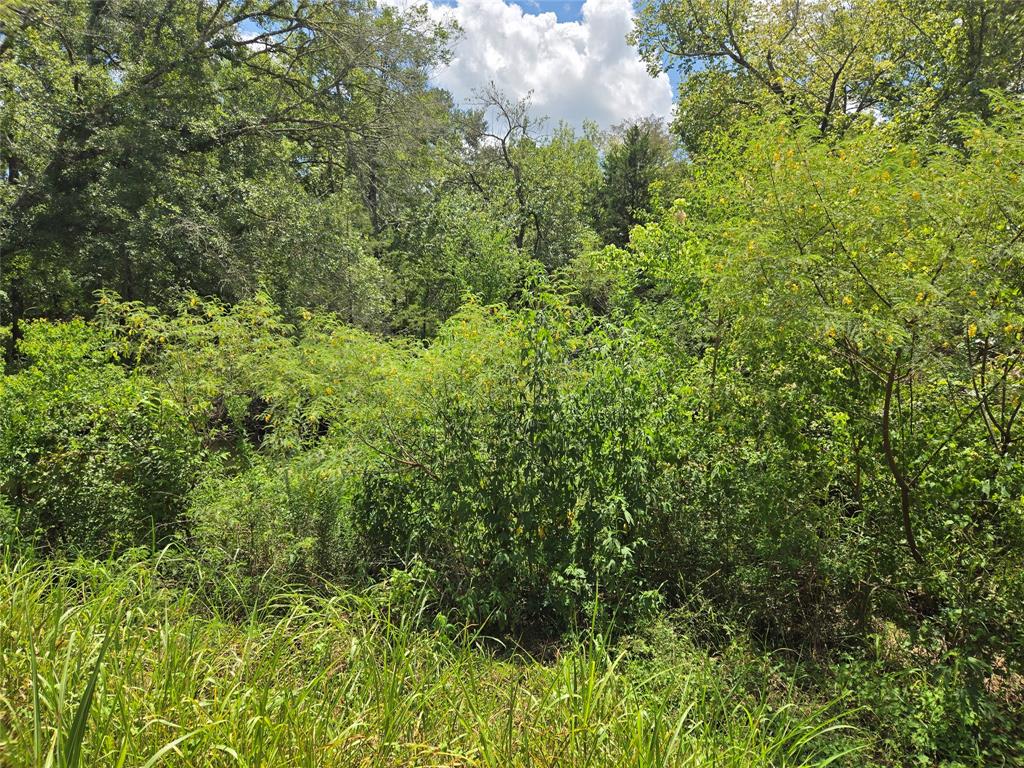 000 Spring Branch RD