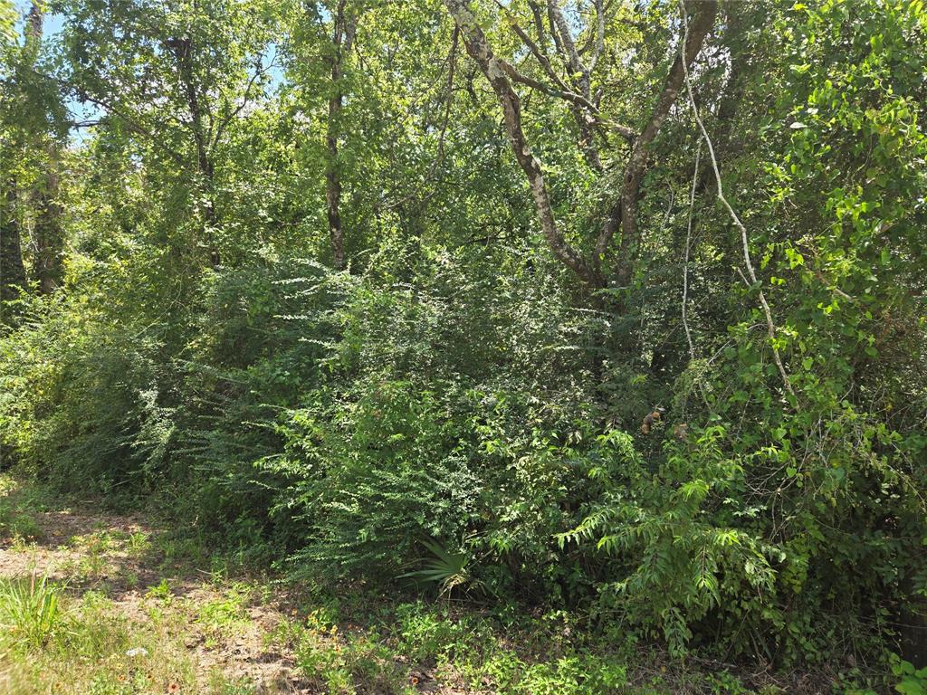 000 Spring Branch RD