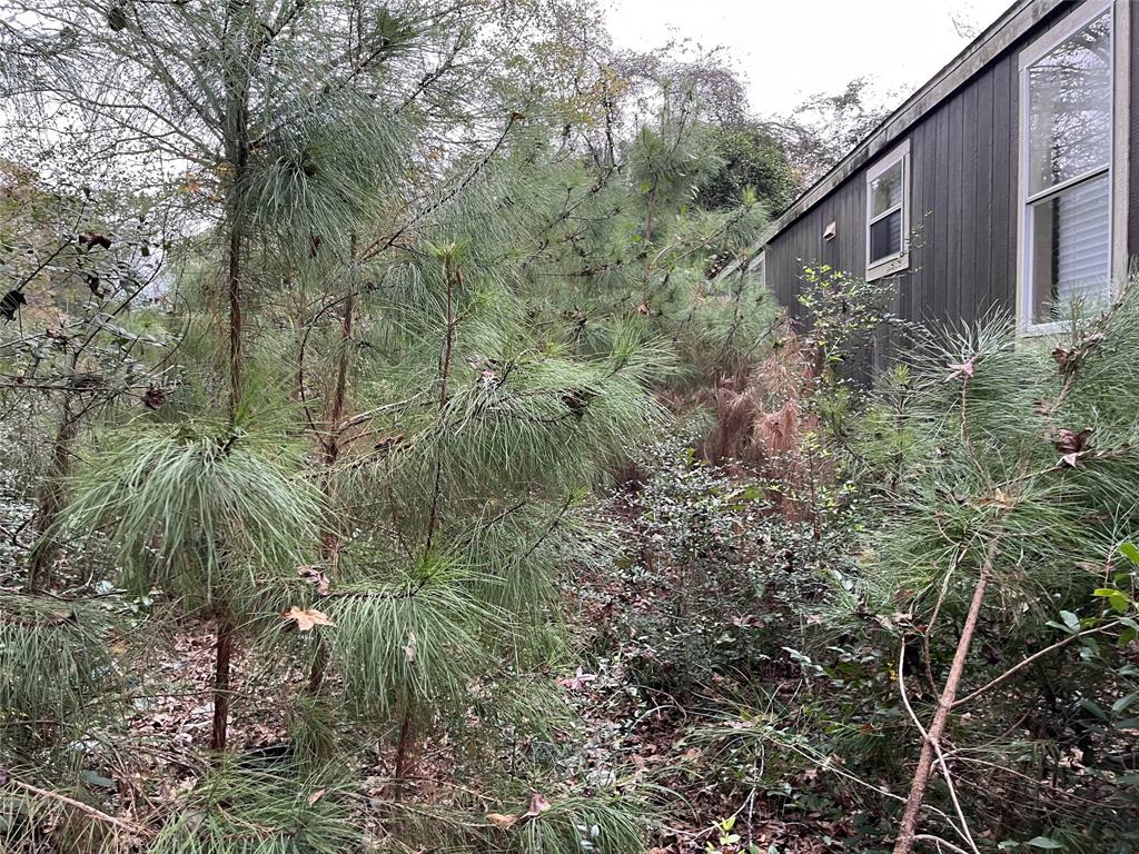 380 Lure Lane, Livingston, Texas image 1