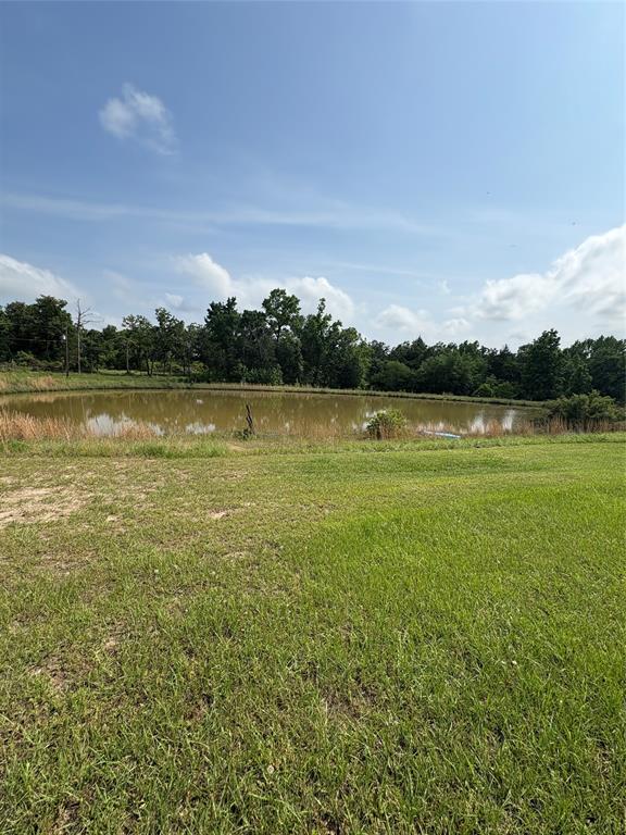 1030 Golden, Buffalo, Texas image 33