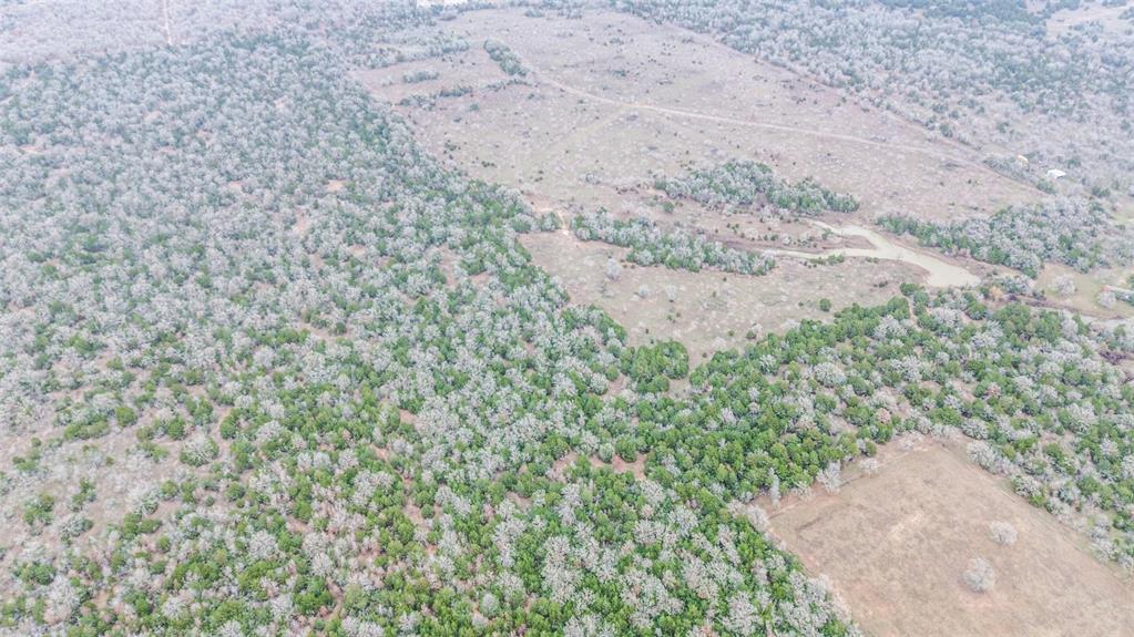 0000 Brown Road, Flatonia, Texas image 10