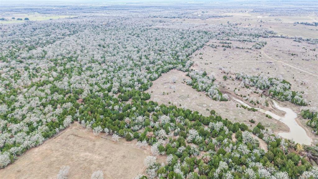 0000 Brown Road, Flatonia, Texas image 11