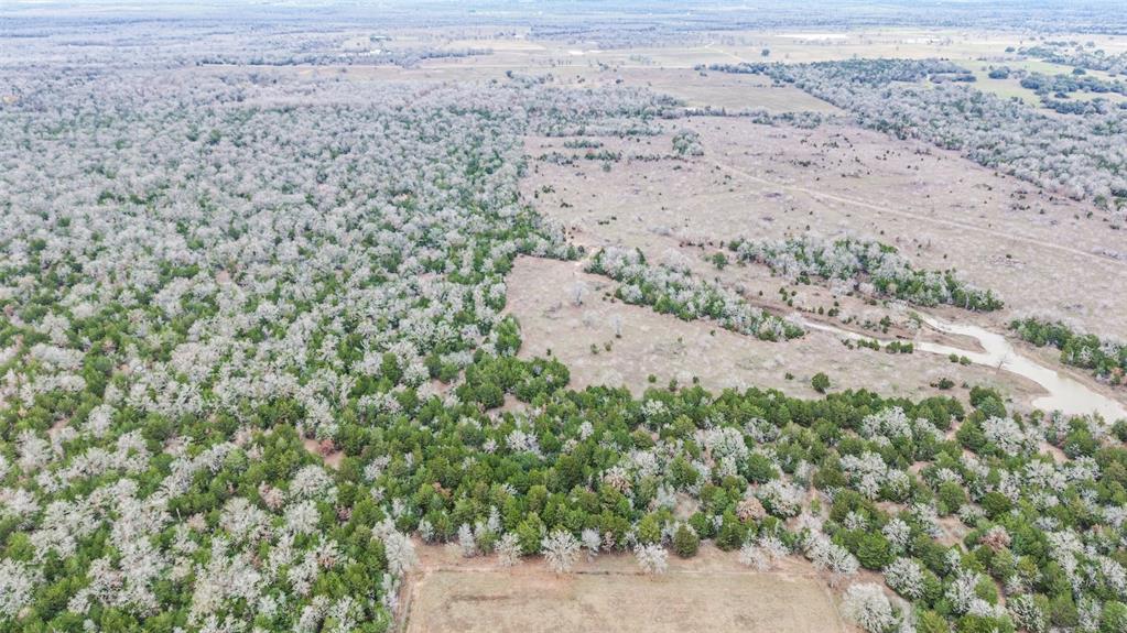 0000 Brown Road, Flatonia, Texas image 12