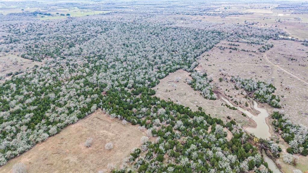 0000 Brown Road, Flatonia, Texas image 3