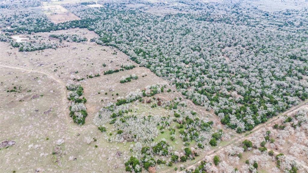 0000 Brown Road, Flatonia, Texas image 6