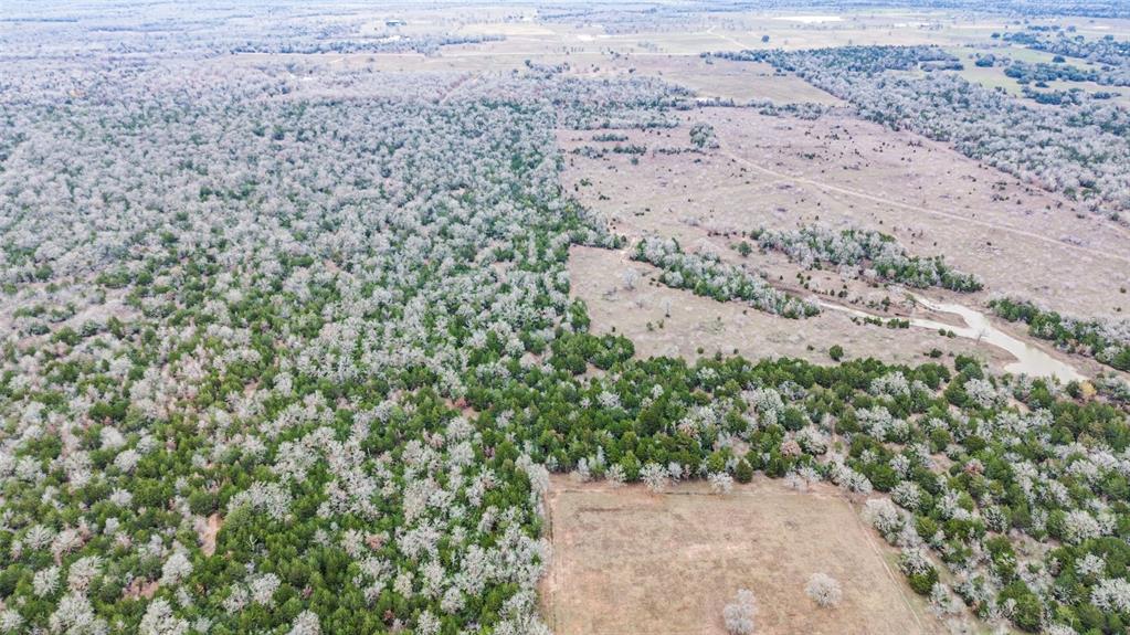 0000 Brown Road, Flatonia, Texas image 2