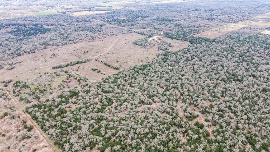 0000 Brown Road, Flatonia, Texas image 8