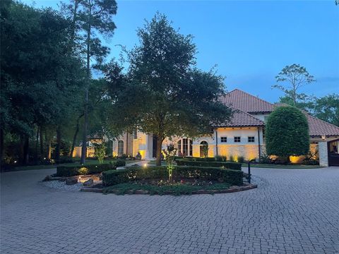 2 Cluny Court The Woodlands TX 77382
